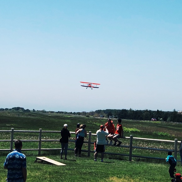 Meet your Posher, Isabelle - Picture 1 of 1